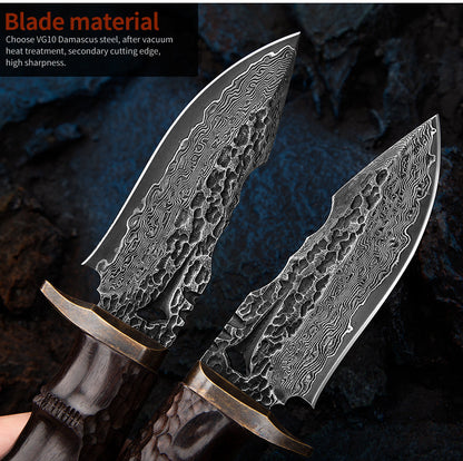 TYRANNOSAURUS REX 3.9 Inch Outdoor Full Tang Fixed Blade Knife, 67 Layers VG10 Steel, Ebony Wood